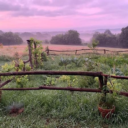 La Roulotte Du Chateau De Framboise Dumes Dış mekan fotoğraf